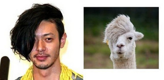 odagiri.jpg